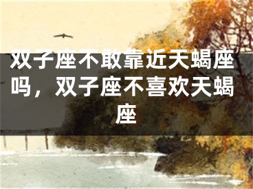 双子座不敢靠近天蝎座吗，双子座不喜欢天蝎座