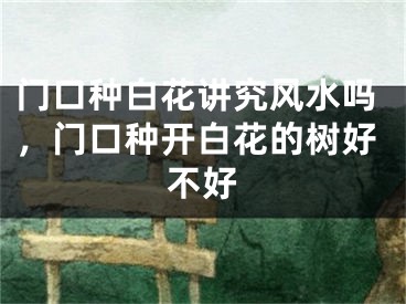 门口种白花讲究风水吗，门口种开白花的树好不好