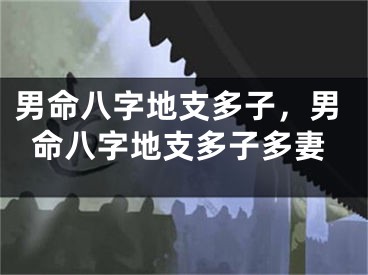 男命八字地支多子，男命八字地支多子多妻