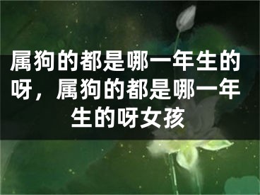 属狗的都是哪一年生的呀，属狗的都是哪一年生的呀女孩