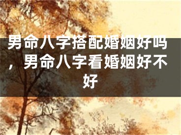 男命八字搭配婚姻好吗，男命八字看婚姻好不好