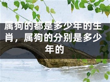 属狗的都是多少年的生肖，属狗的分别是多少年的