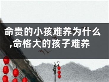 命贵的小孩难养为什么,命格大的孩子难养