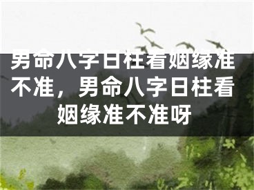 男命八字日柱看姻缘准不准，男命八字日柱看姻缘准不准呀