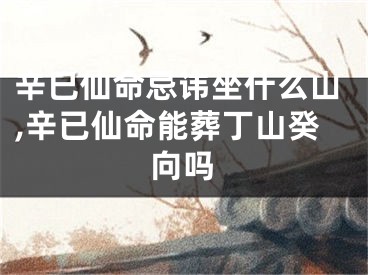 辛巳仙命忌讳坐什么山,辛已仙命能葬丁山癸向吗