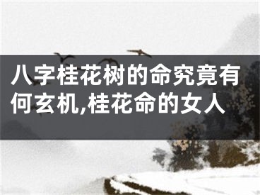 八字桂花树的命究竟有何玄机,桂花命的女人