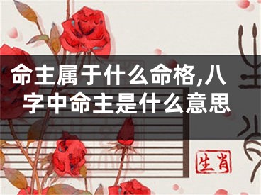 命主属于什么命格,八字中命主是什么意思