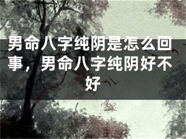男命八字纯阴是怎么回事，男命八字纯阴好不好