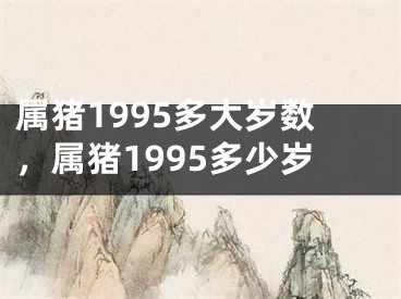 属猪1995多大岁数,属猪1995多少岁