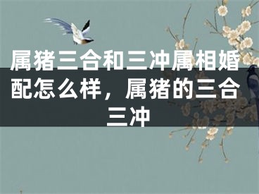 属猪三合和三冲属相婚配怎么样，属猪的三合三冲
