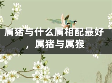 属猪与什么属相配最好，属猪与属猴