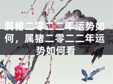 属猪二零二二年运势如何，属猪二零二二年运势如何看