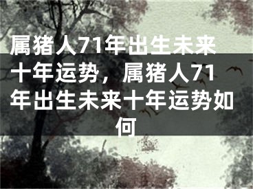 属猪人71年出生未来十年运势，属猪人71年出生未来十年运势如何