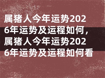 属猪人今年运势2026年运势及运程如何，属猪人今年运势2026年运势及运程如何看