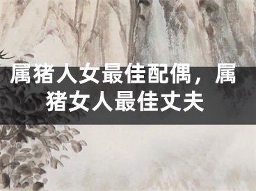 属猪人女最佳配偶,属猪女人最佳丈夫