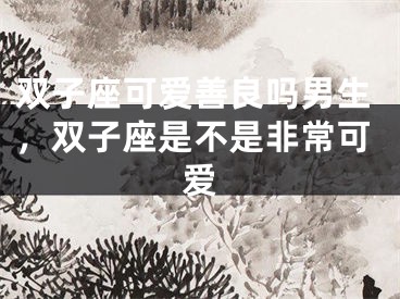 双子座可爱善良吗男生，双子座是不是非常可爱