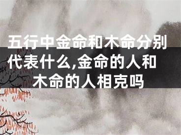 五行中金命和木命分别代表什么,金命的人和木命的人相克吗