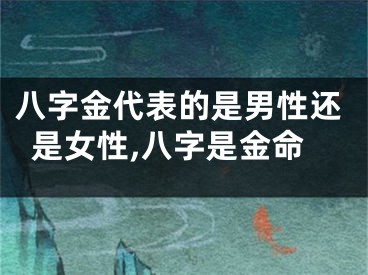 八字金代表的是男性还是女性,八字是金命