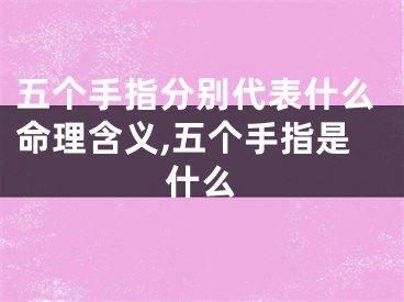 五个手指分别代表什么命理含义,五个手指是什么