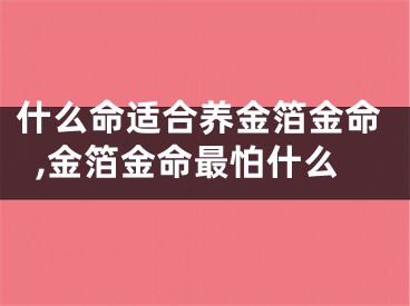 什么命适合养金箔金命,金箔金命最怕什么