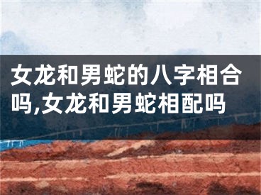 女龙和男蛇的八字相合吗,女龙和男蛇相配吗