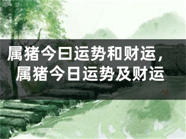 属猪今曰运势和财运，属猪今日运势及财运