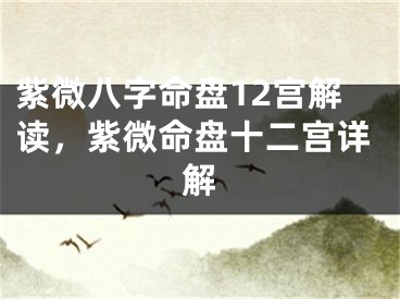 紫微八字命盘12宫解读，紫微命盘十二宫详解