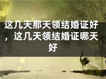 这几天那天领结婚证好，这几天领结婚证哪天好