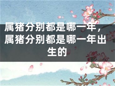 属猪分别都是哪一年，属猪分别都是哪一年出生的