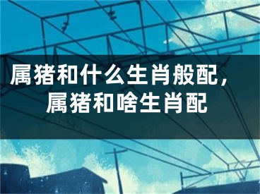 属猪和什么生肖般配，属猪和啥生肖配