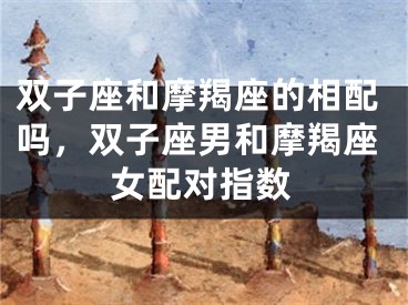 双子座和摩羯座的相配吗，双子座男和摩羯座女配对指数