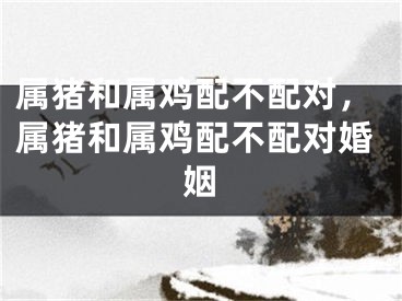 属猪和属鸡配不配对，属猪和属鸡配不配对婚姻