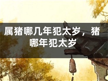 属猪哪几年犯太岁，猪哪年犯太岁