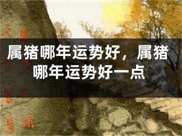 属猪哪年运势好，属猪哪年运势好一点