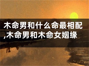 木命男和什么命最相配,木命男和木命女姻缘