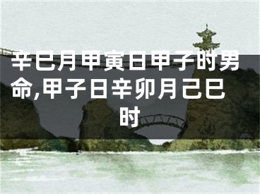 辛巳月甲寅日甲子时男命,甲子日辛卯月己巳时