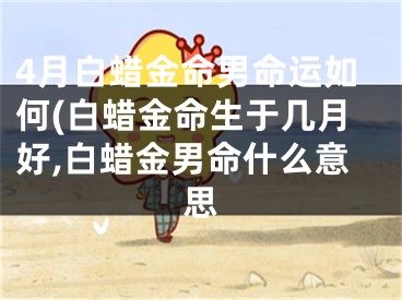 4月白蜡金命男命运如何(白蜡金命生于几月好,白蜡金男命什么意思