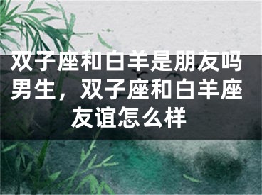 双子座和白羊是朋友吗男生，双子座和白羊座友谊怎么样