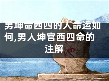 男坤命西四的人命运如何,男人坤宫西四命的注解