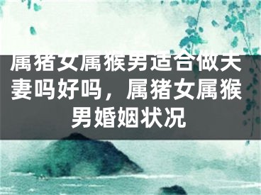 属猪女属猴男适合做夫妻吗好吗，属猪女属猴男婚姻状况