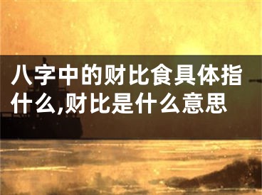 八字中的财比食具体指什么,财比是什么意思