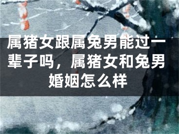 属猪女跟属兔男能过一辈子吗，属猪女和兔男婚姻怎么样