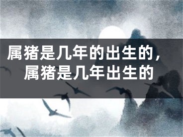 属猪是几年的出生的，属猪是几年出生的