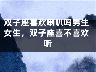 双子座喜欢喇叭吗男生女生，双子座喜不喜欢听