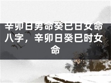 辛卯日男命癸巳日女命八字，辛卯日癸巳时女命