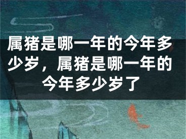属猪是哪一年的今年多少岁，属猪是哪一年的今年多少岁了