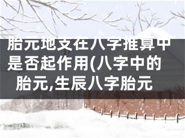 胎元地支在八字推算中是否起作用(八字中的胎元,生辰八字胎元