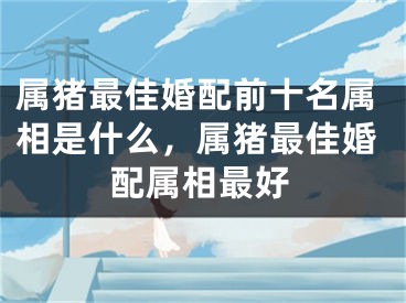 属猪最佳婚配前十名属相是什么，属猪最佳婚配属相最好