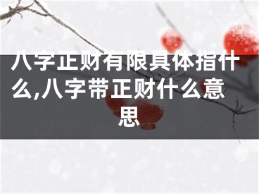 八字正财有限具体指什么,八字带正财什么意思