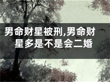 男命财星被刑,男命财星多是不是会二婚